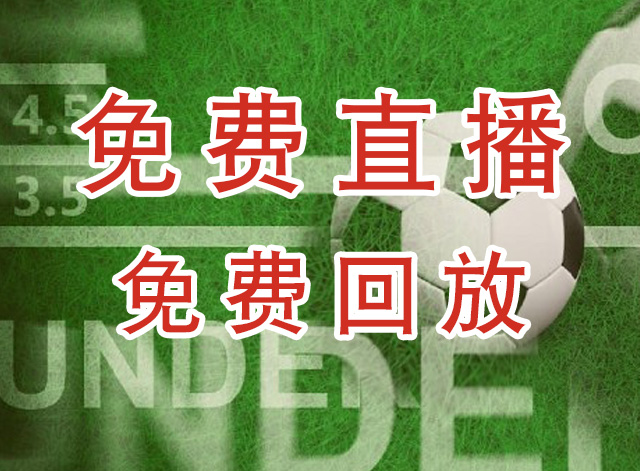 明尼苏达森林狼